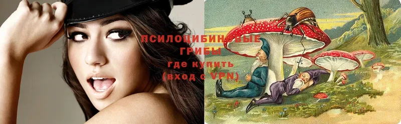 hydra ONION  магазин    Белая Холуница  Псилоцибиновые грибы Psilocybe 